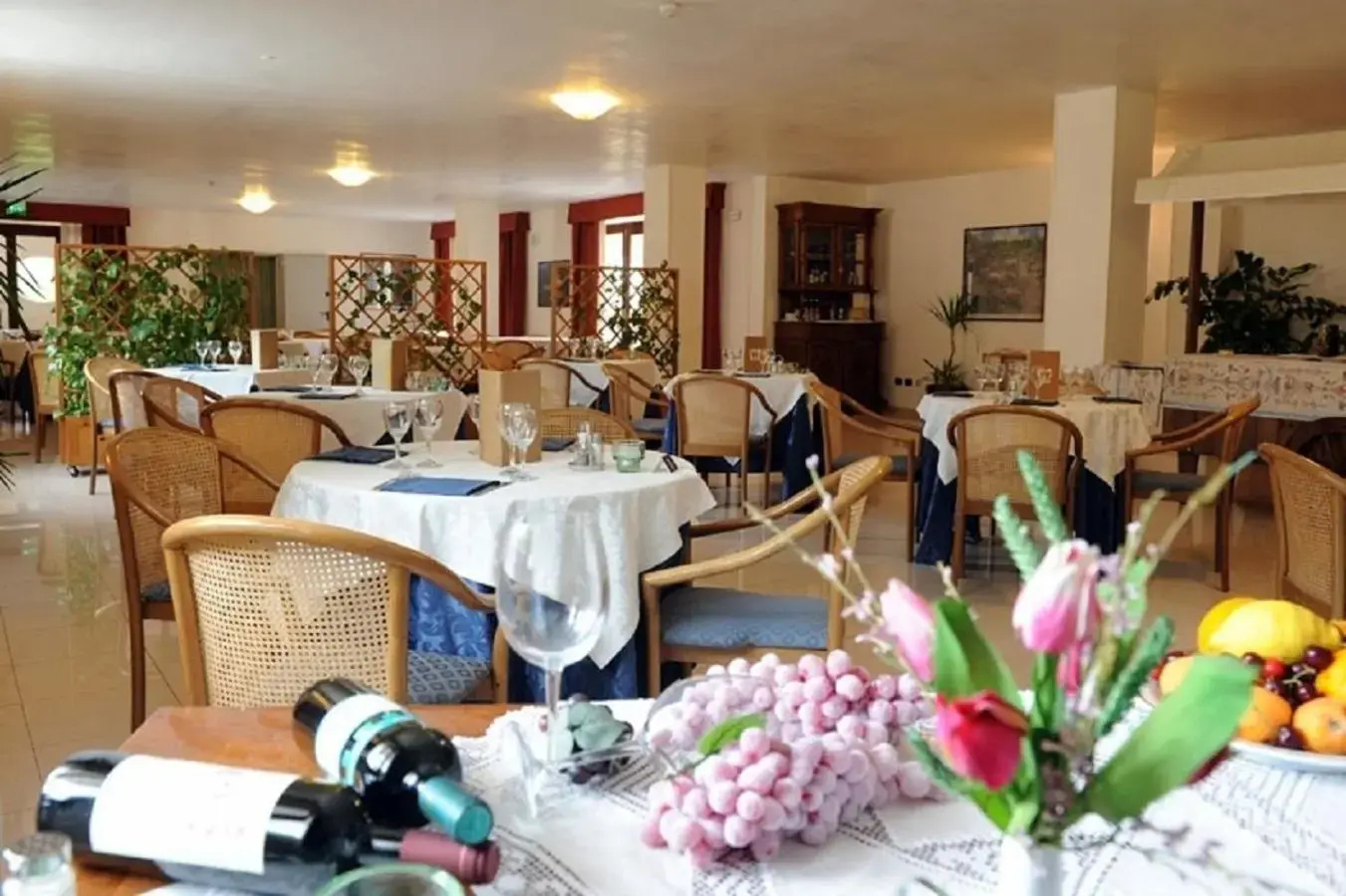Photo - Hotel Villa Rosa