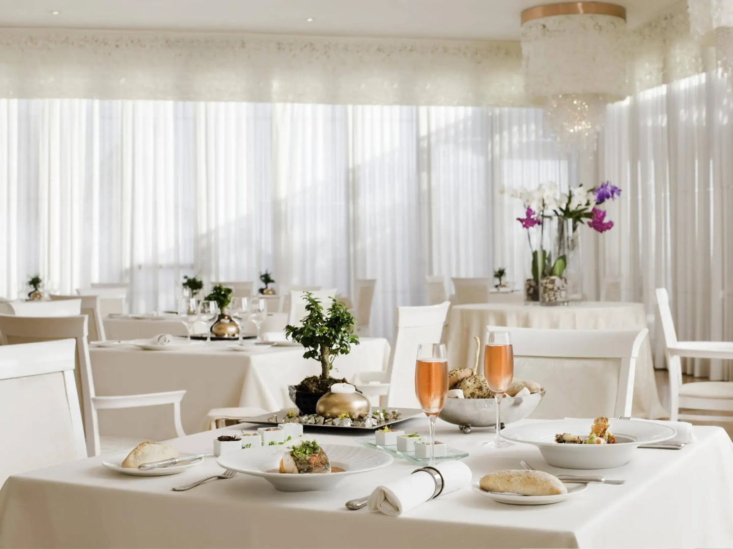 Foto - JOIA Salomé by Iberostar -Adults Only