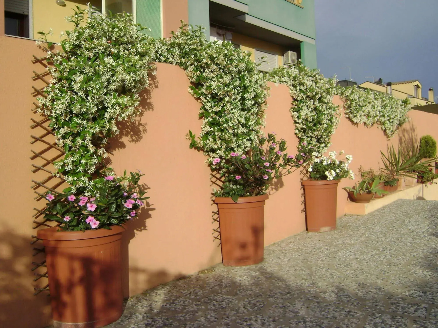 Foto - Sun&Sardinia