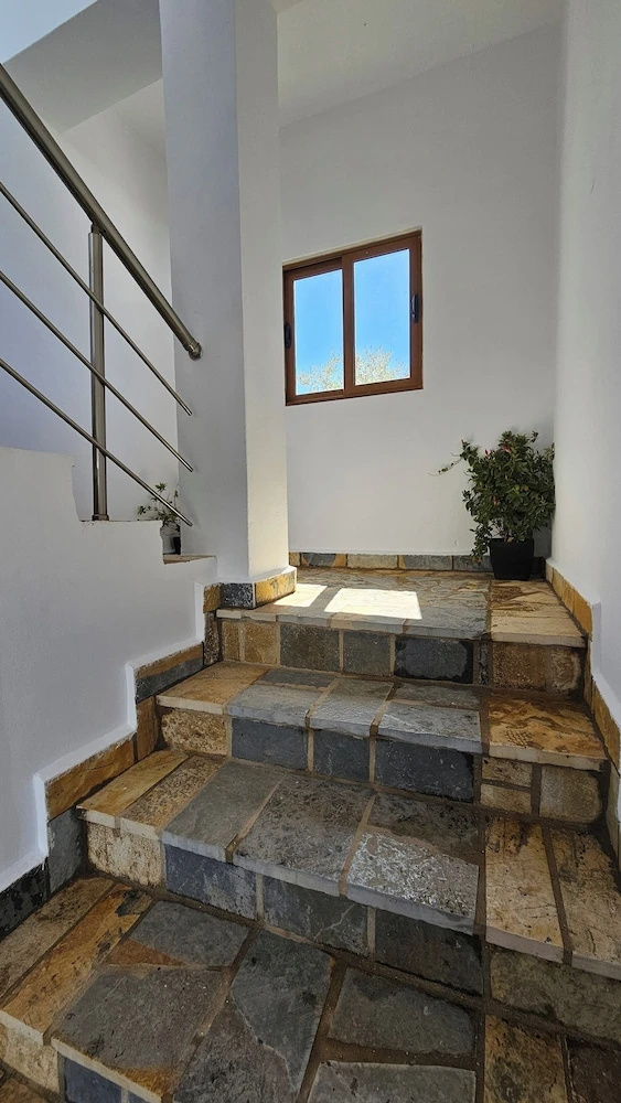 Photo - Vila Malo