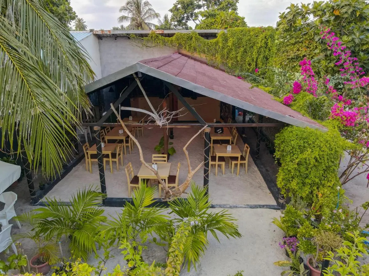 Photo - Turtle Maldives - Your Gateway to the Beach & Marine Adventures Await!