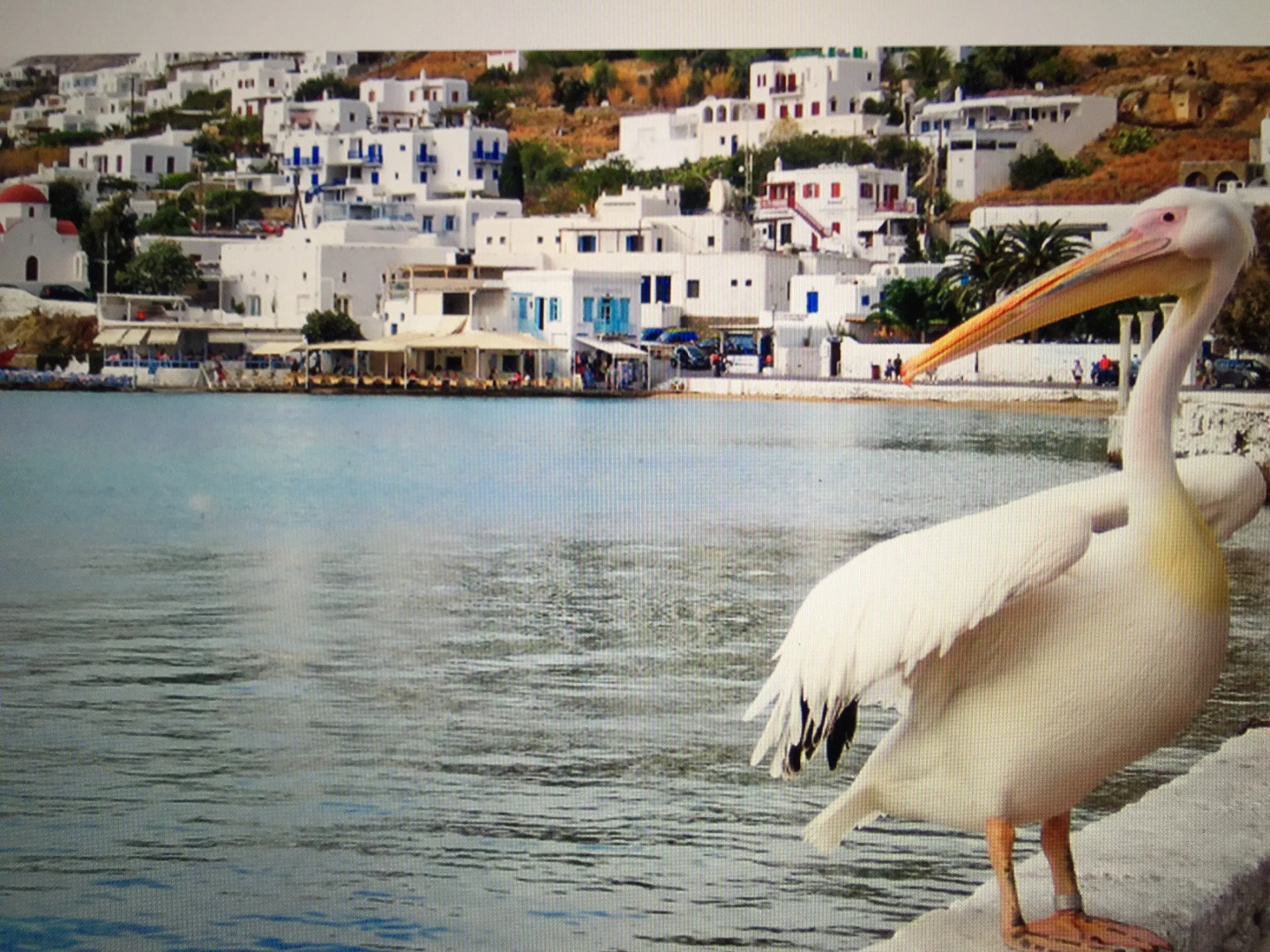 Foto - Dionysos Luxury Hotel Mykonos