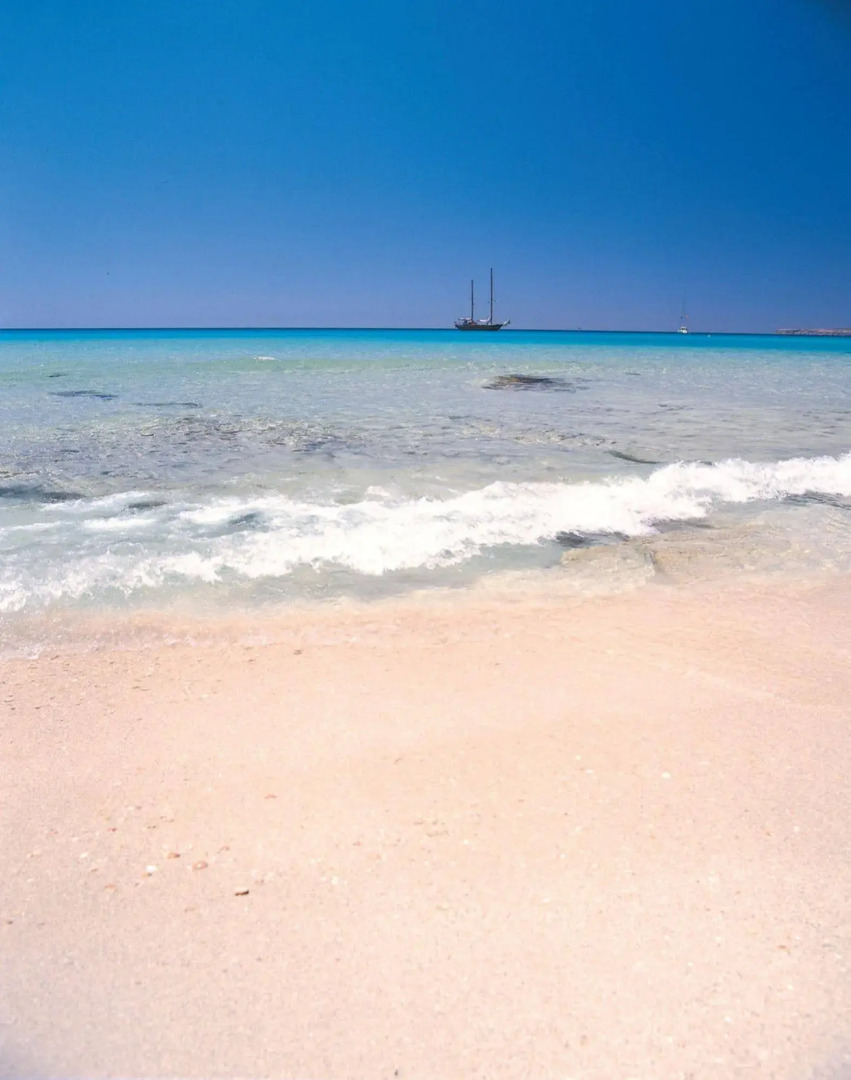 Photo - Hotel Riu Palace La Mola