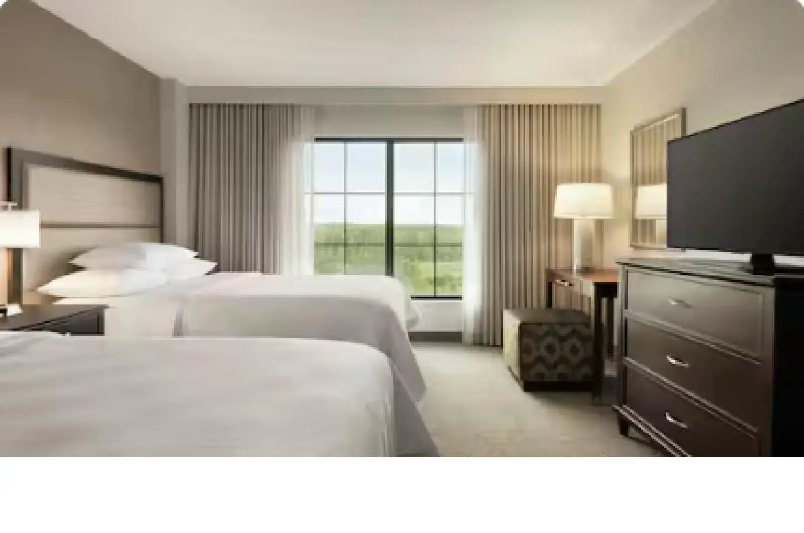Foto - Embassy Suites by Hilton Atlanta Alpharetta