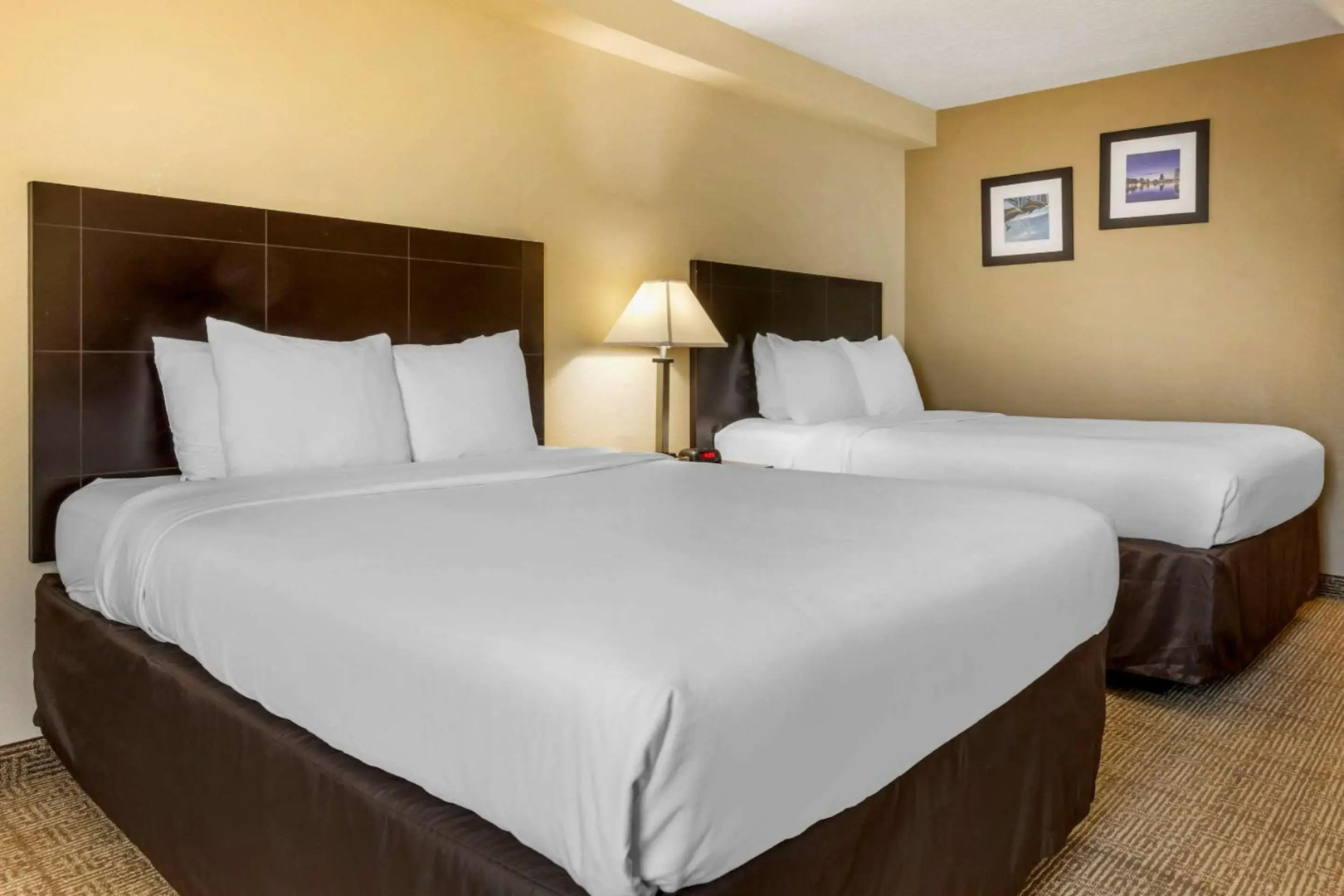 Foto - Comfort Inn International Drive