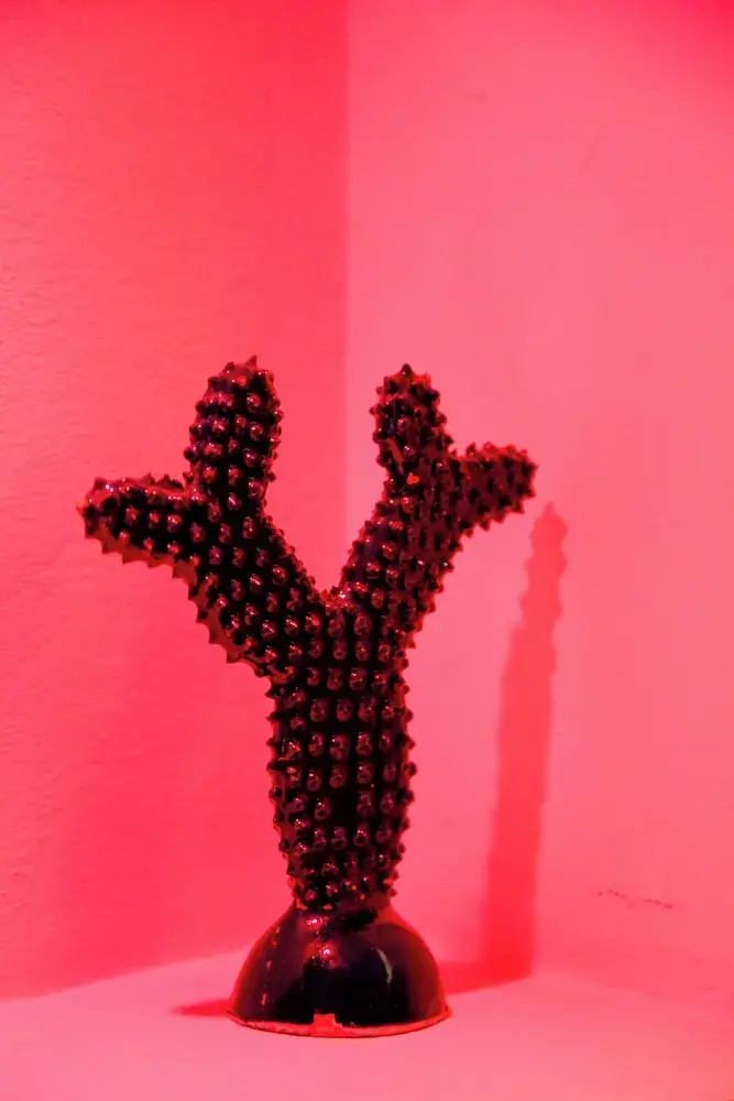 Foto - Riad Tislite & SPA