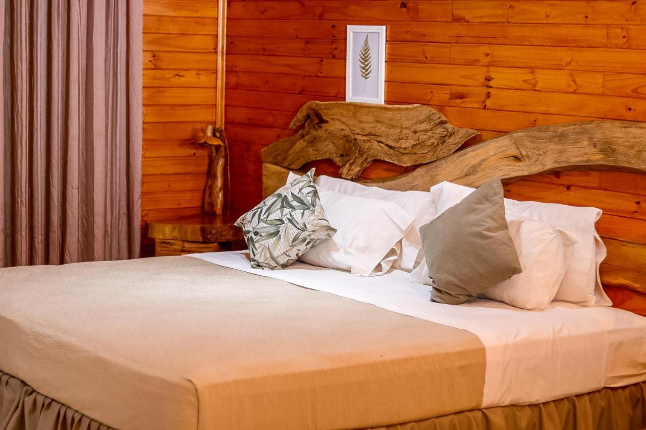 Foto - Tupa Lodge selva y río
