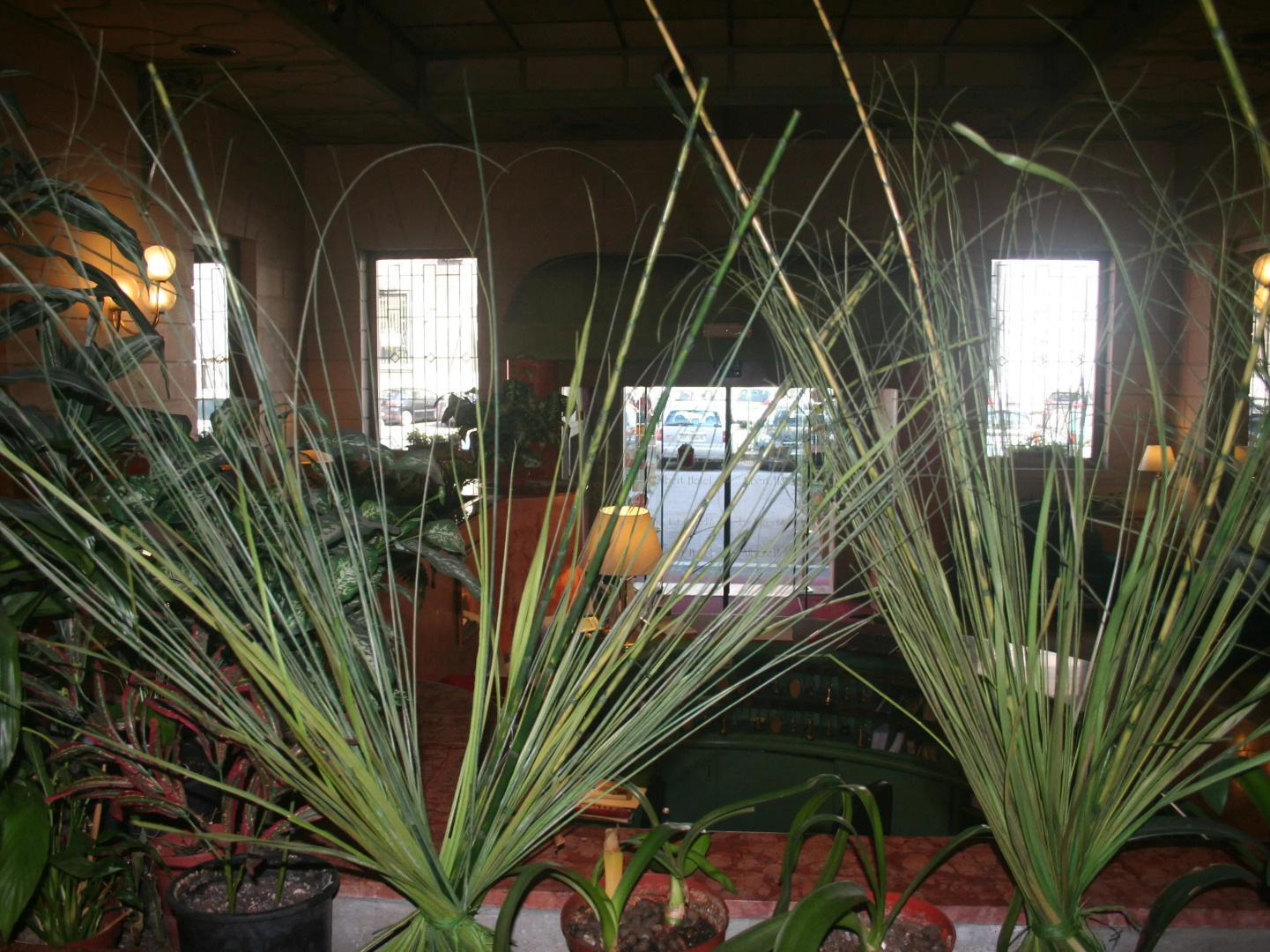 Photo - Albert Hotel