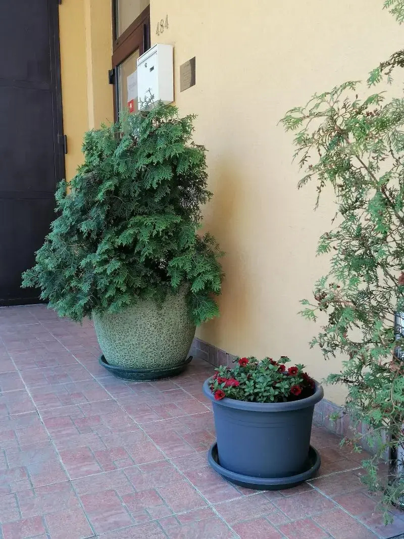 Photo - Hotel Arko