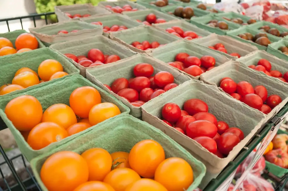 Photo - Hotel Squamish