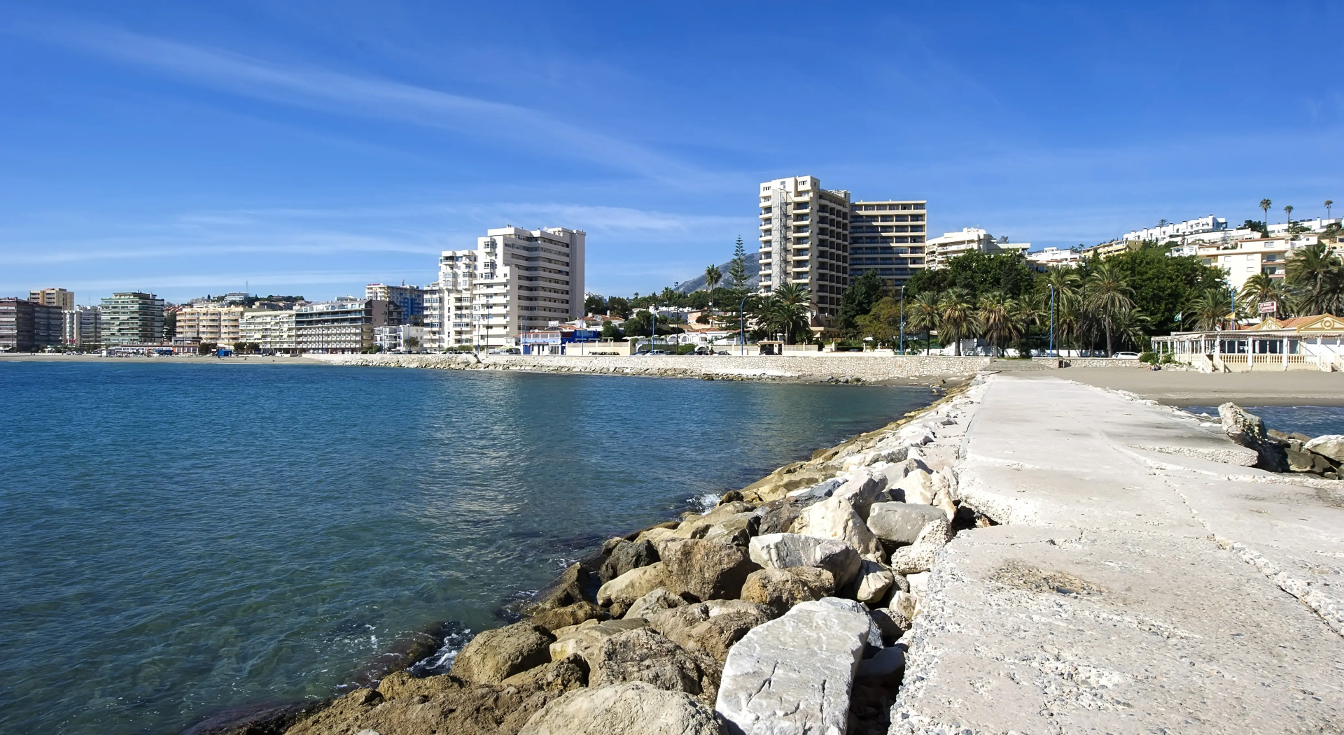 Photo - Globales Gardenia