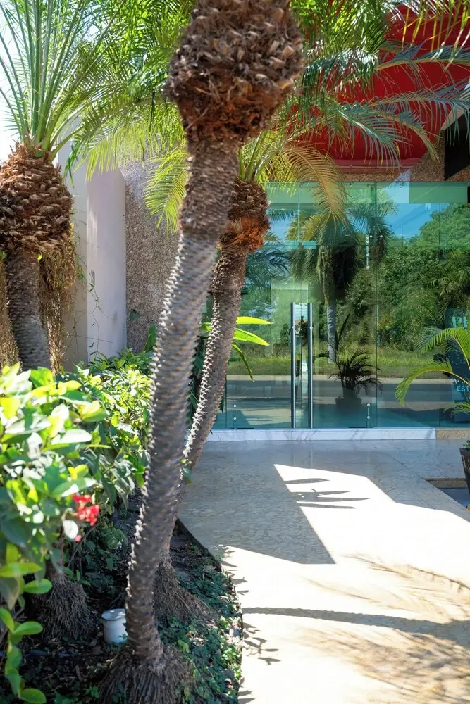 Photo - Vallarta Live Hotel