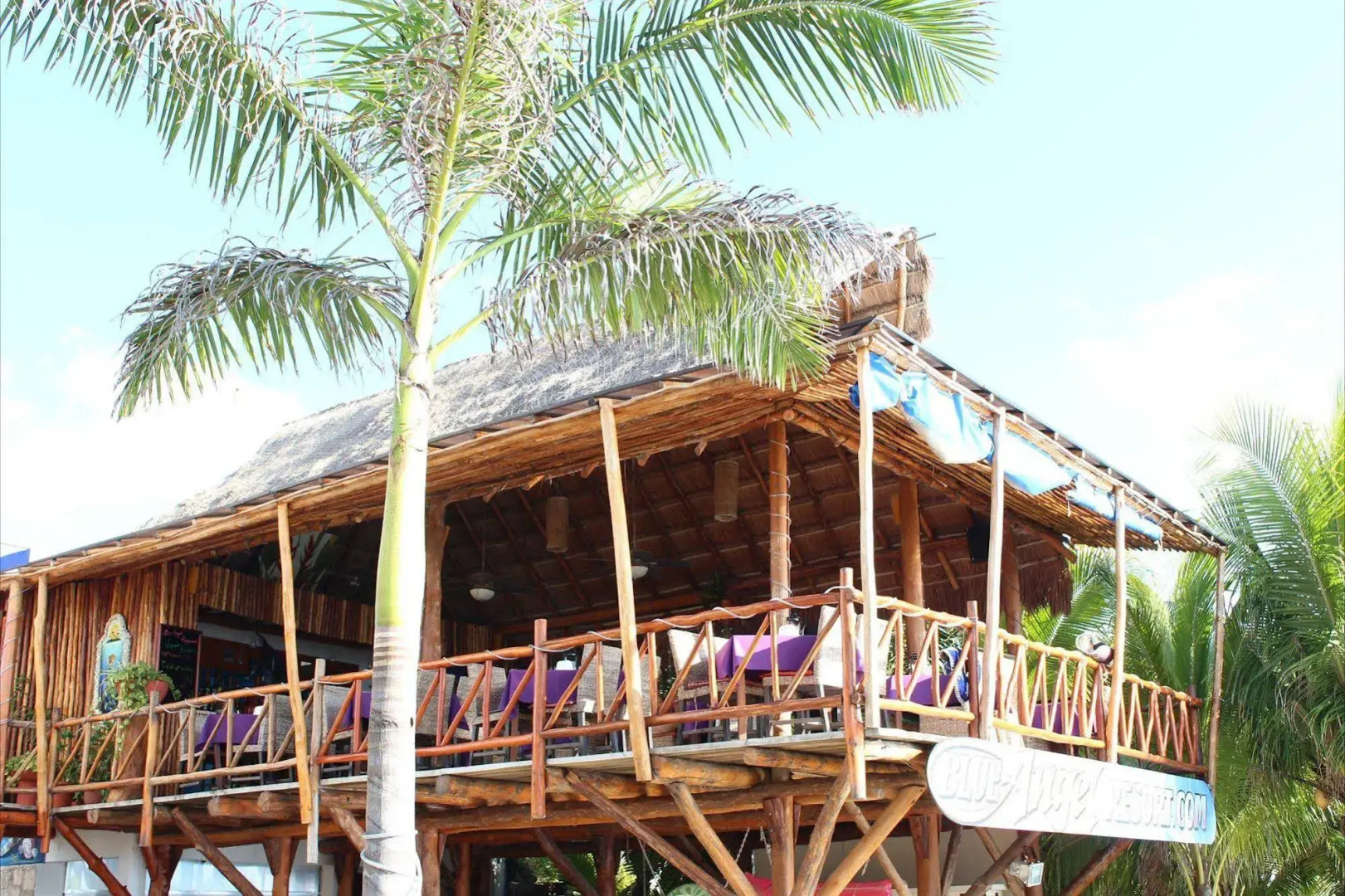 Foto - Blue Angel Resort