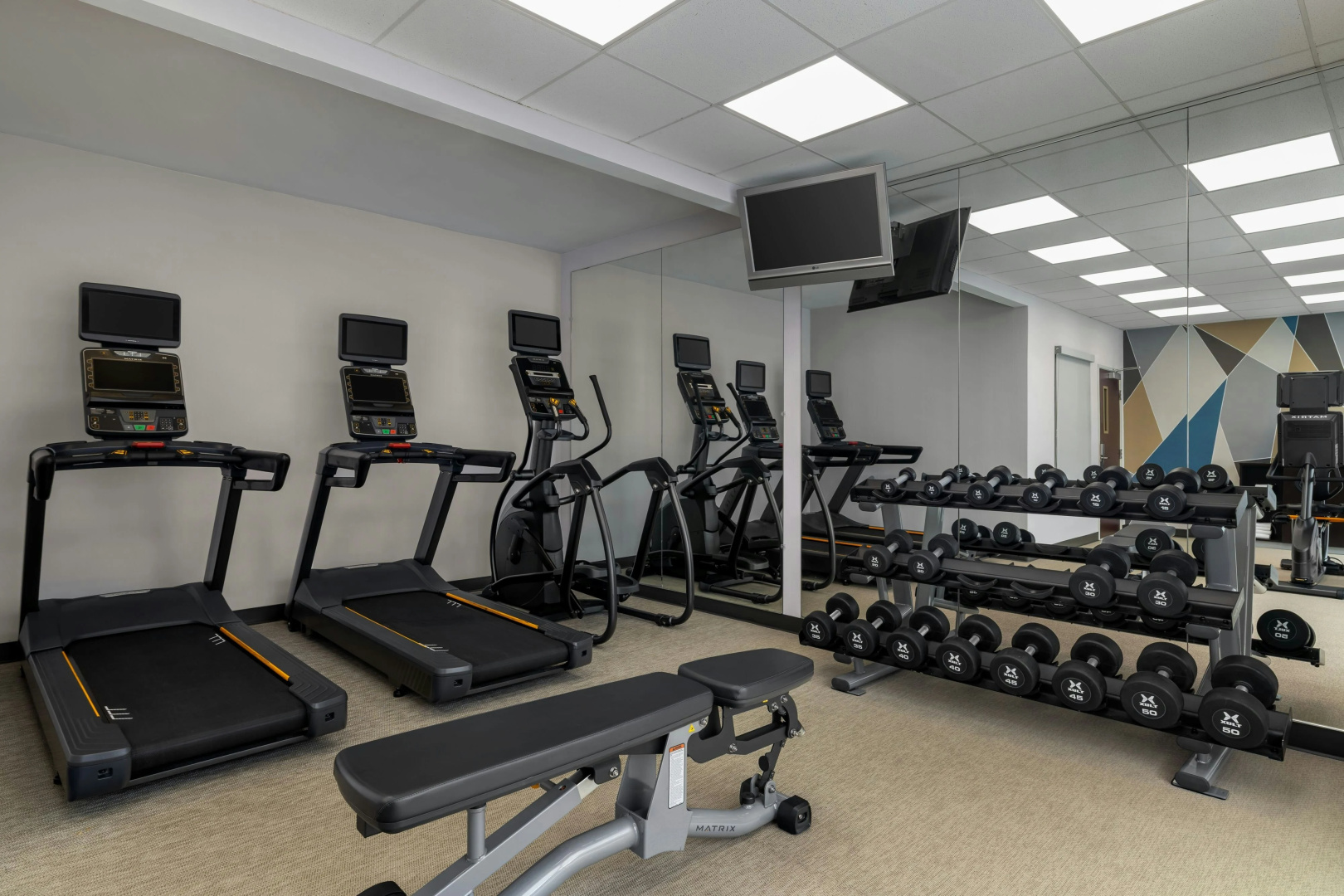 Foto - Springhill Suites by Marriott Tampa Brandon
