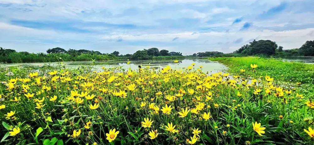Photo - Tiny Island Lake Lodge