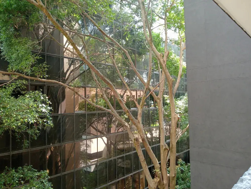 Foto - Hotel Rulay Medellin