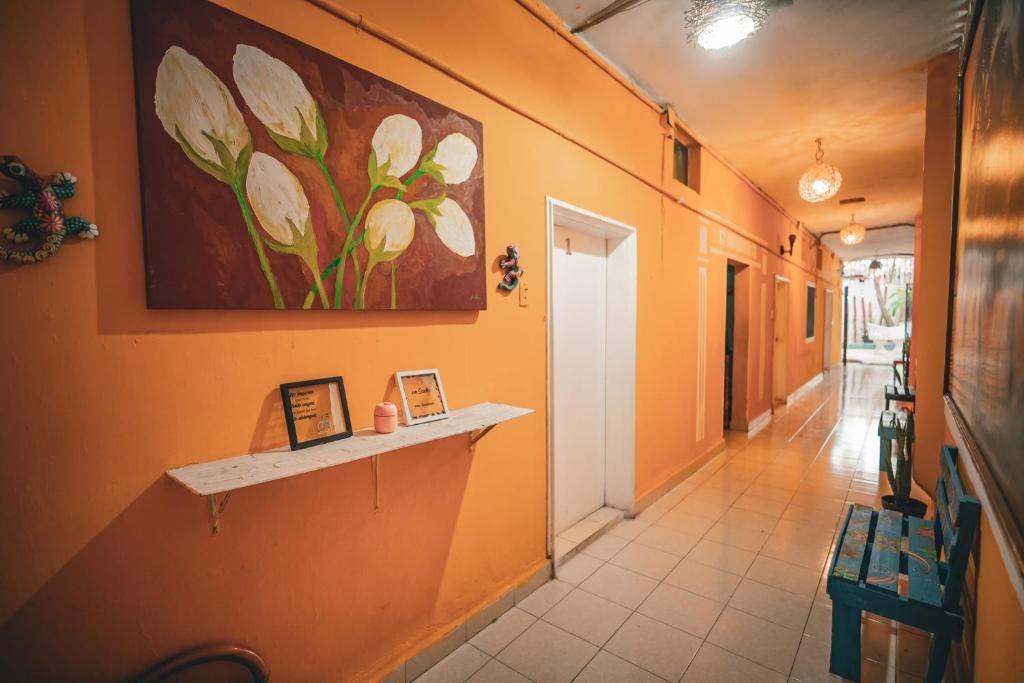 Foto - Hotel Posada Aurora