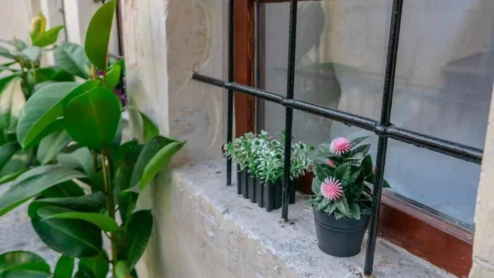 Foto - Şirvani Konağı