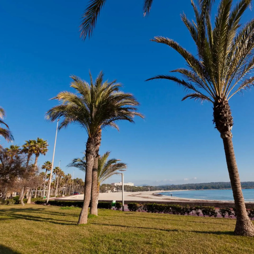 Photo - Hotel Brisa Marina