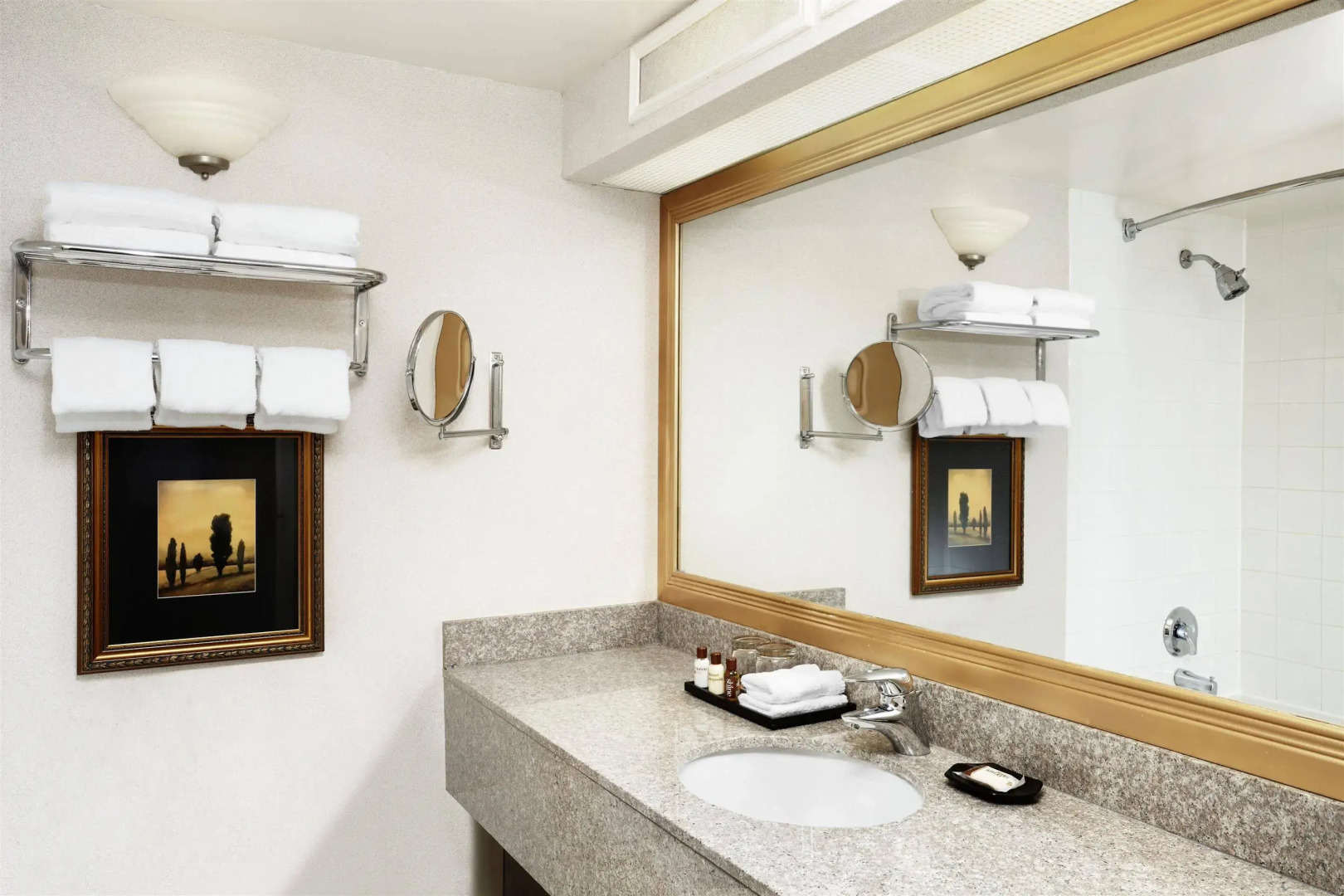 Foto - Sheraton Parkway Toronto North Hotel & Suites