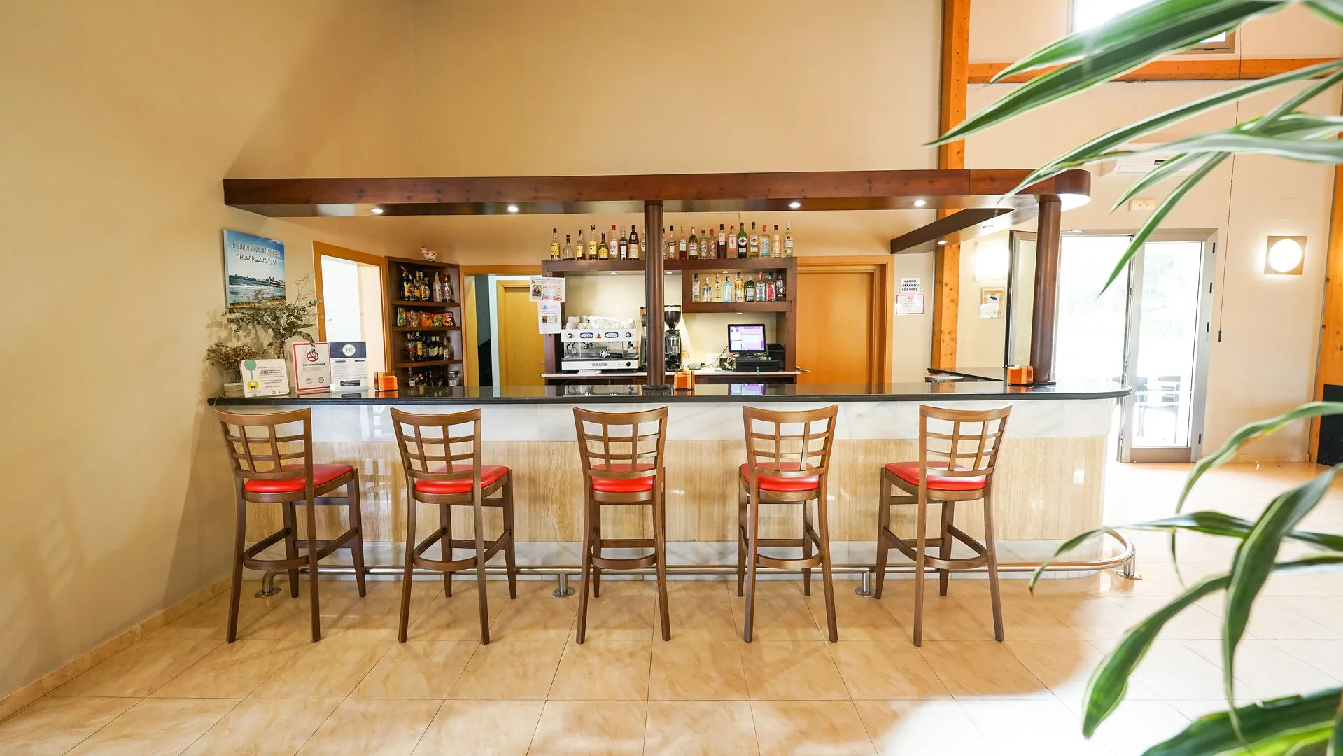 Foto - Hotel Pradillo Conil