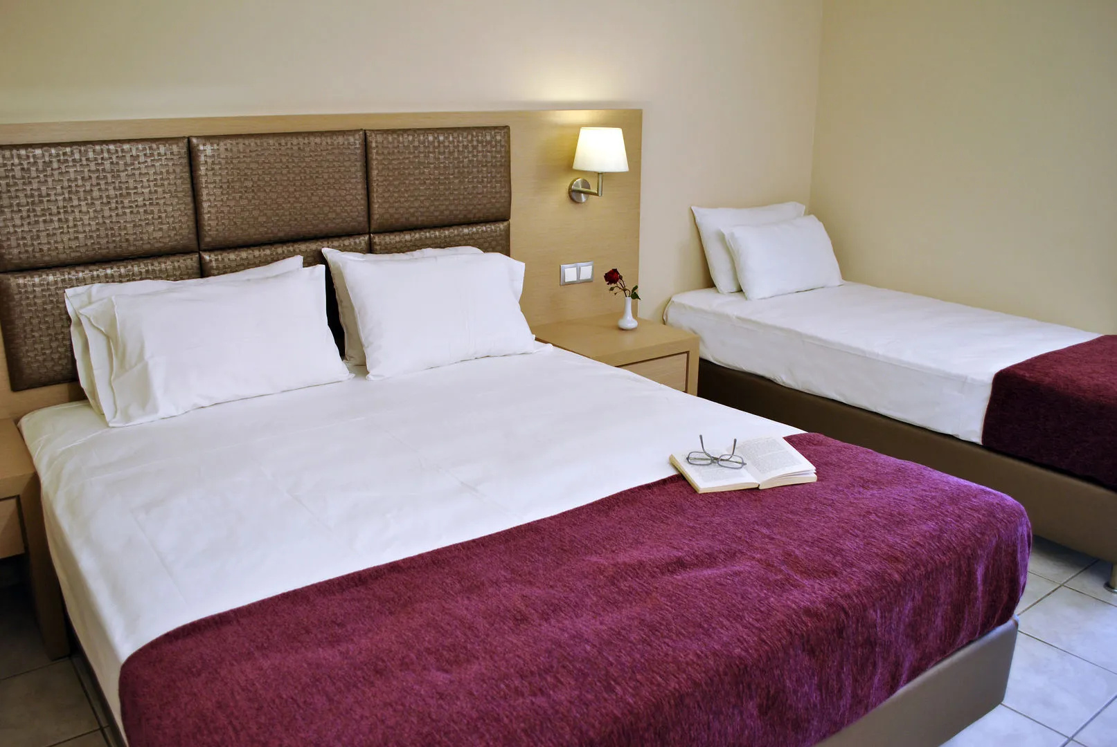 Foto - Hotel Plessas Palace