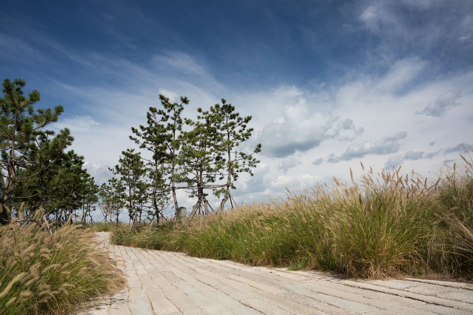 Foto - Nest Hotel Incheon