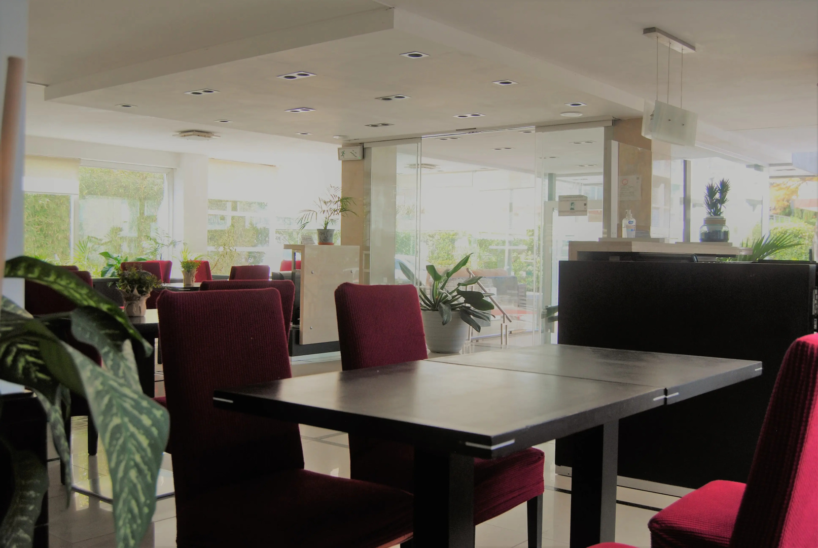 Foto - Hotel Castilla