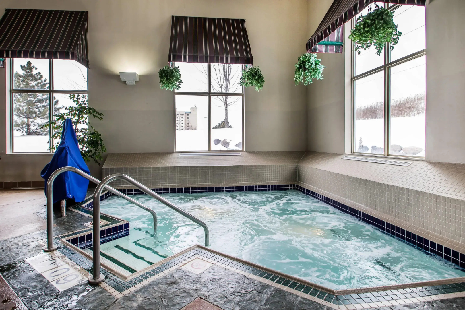 Foto - Comfort Suites Madison West - Middleton