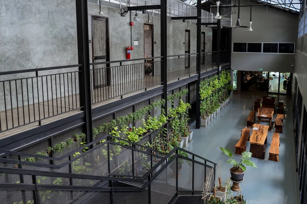 Photo - Premier Hostel Chiang Mai