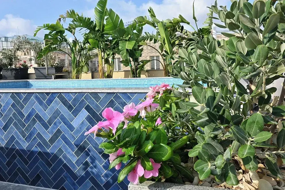 Photo - The Capital Boutique Hotel