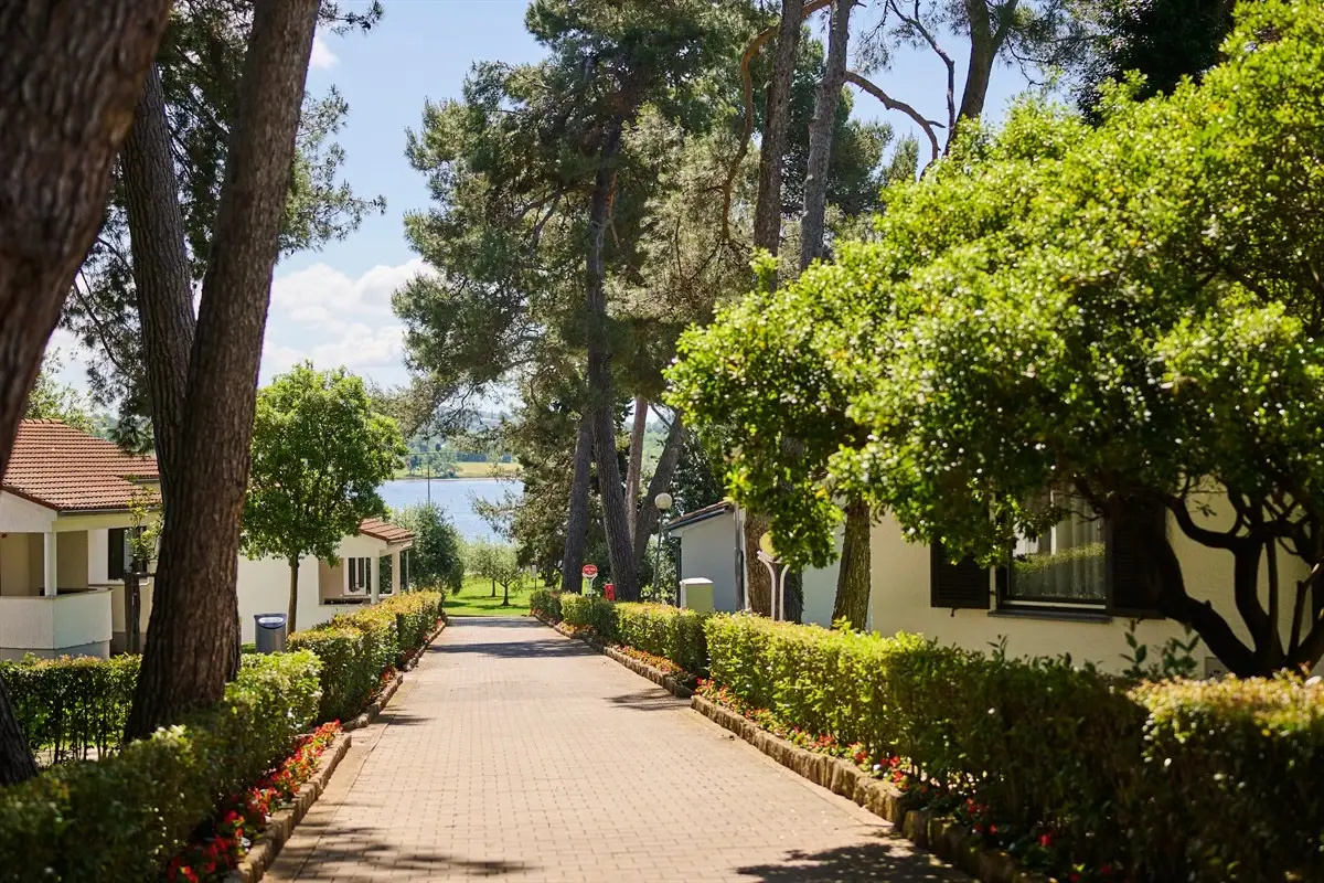 Photo - Villa Galijot Plava Laguna