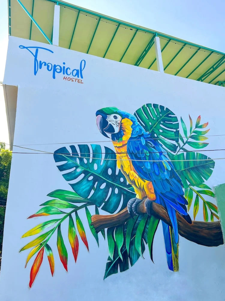 Foto - Tropical Hostel Santa Marta