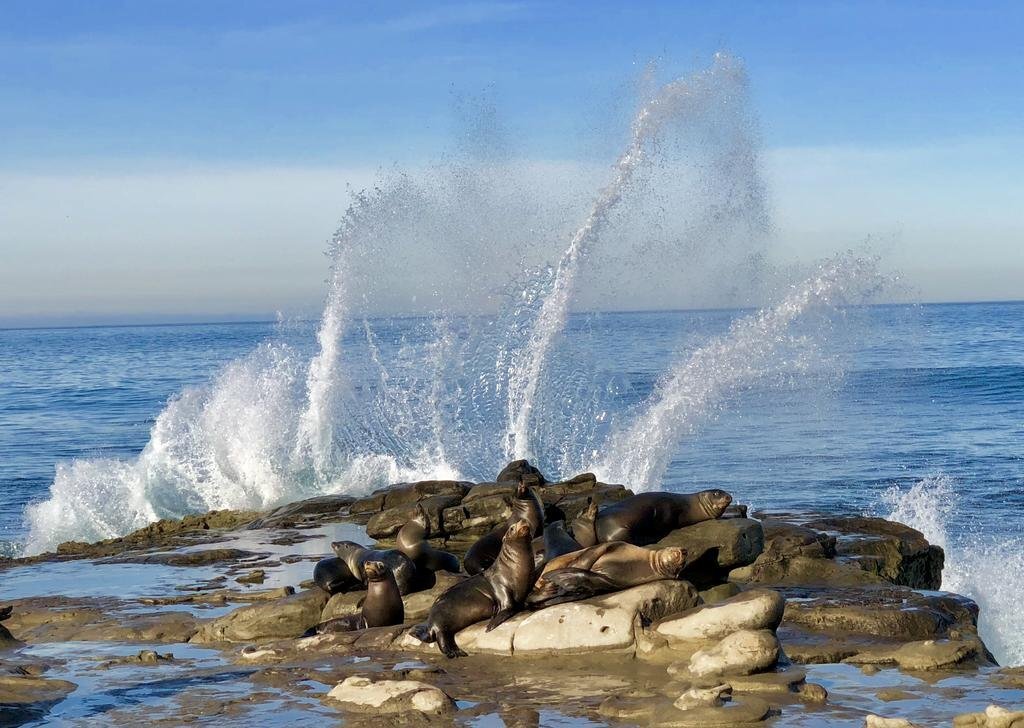 Photo - Sunrise Inn San Diego