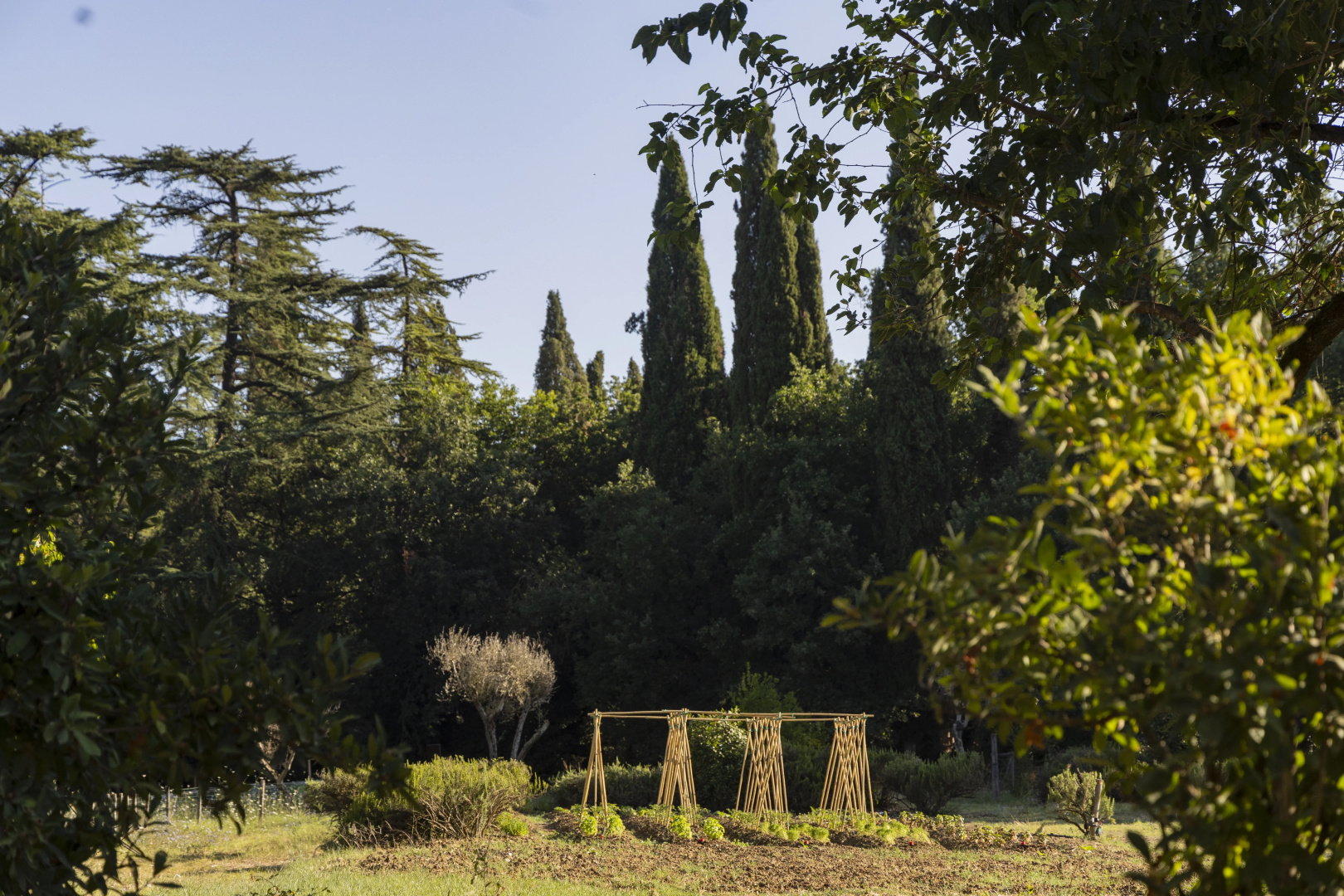 Borgo dei Conti Resort, Bild 23 von 29