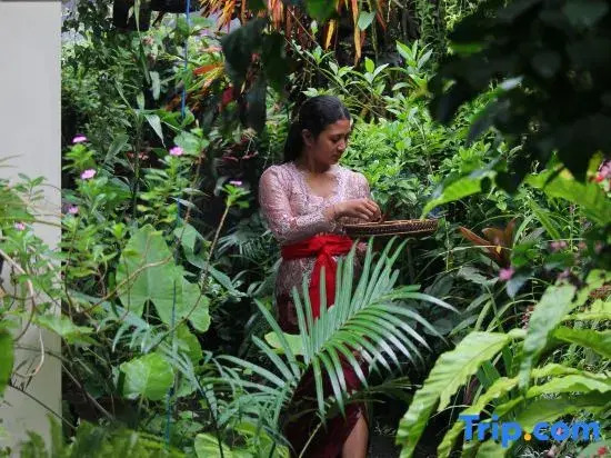 Foto - Sari Gong Guest House, A Trishula Collection