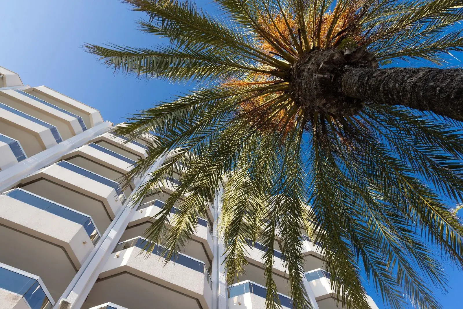 Foto - Hotel Riva Art & Spa