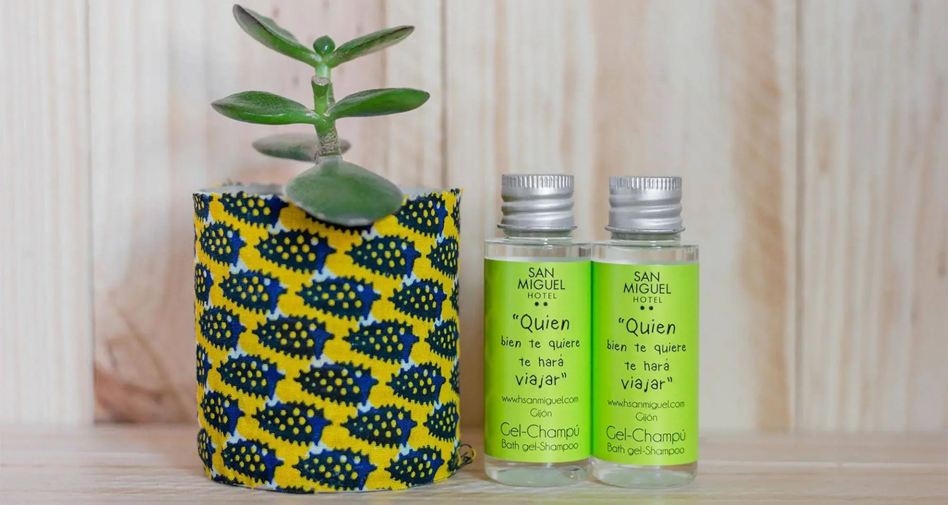 Foto - Hotel San Miguel