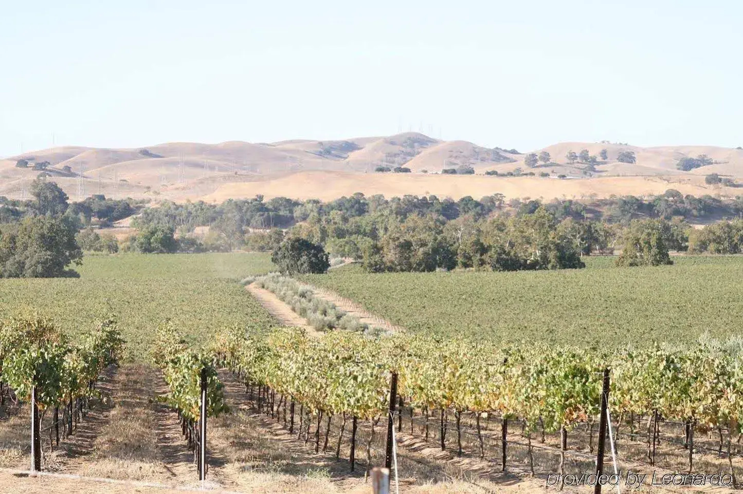 Photo - Hampton Inn Livermore