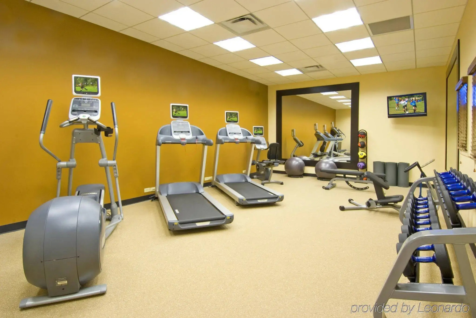 Foto - Hilton Garden Inn Tampa Airport/Westshore