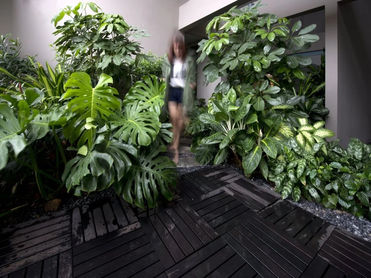 Foto - V Hotel Bencoolen