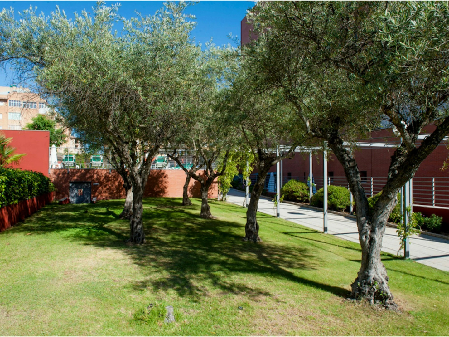 Photo - Extremadura Hotel