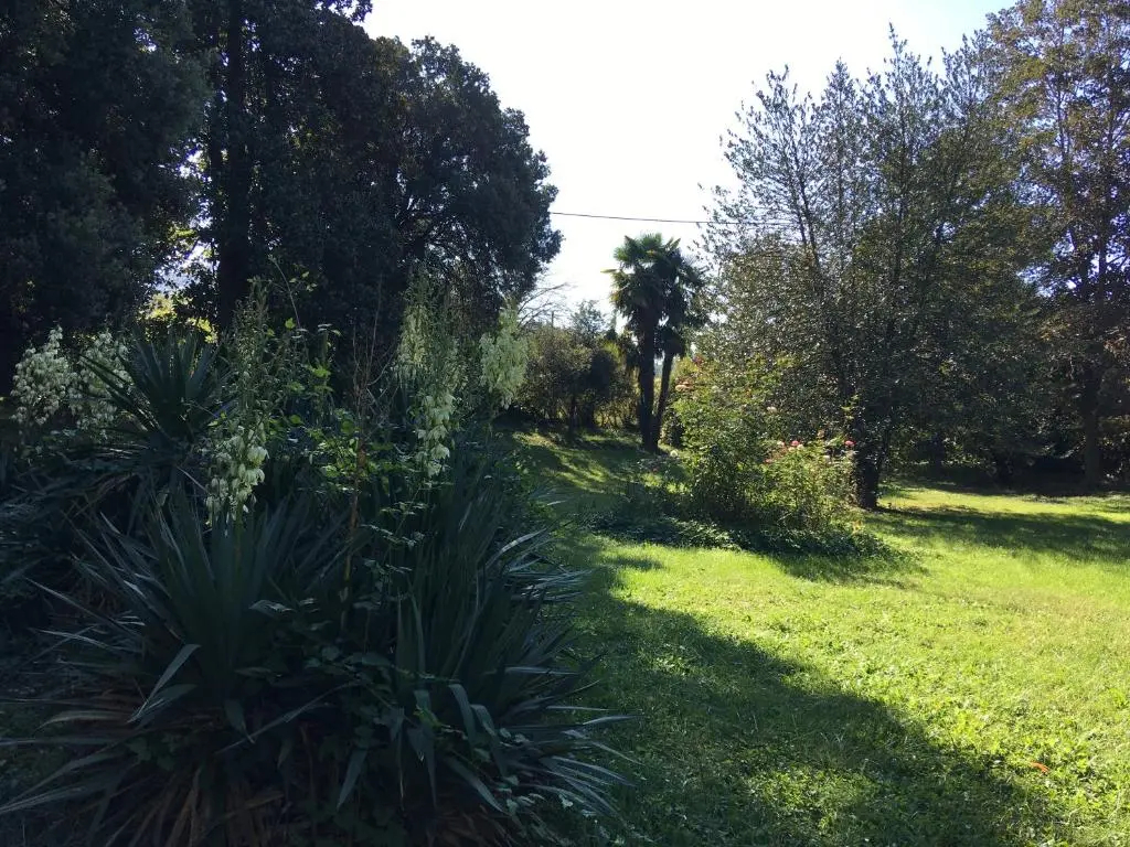 Foto - Villa La Dogana B&B di Charme - Historic Villa with a beautiful garden - private parking