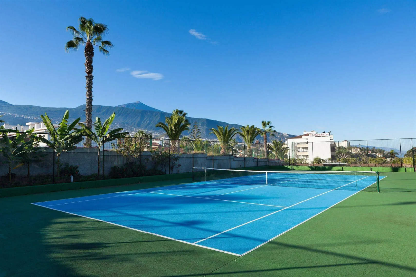 Photo - FERGUS Puerto de la Cruz