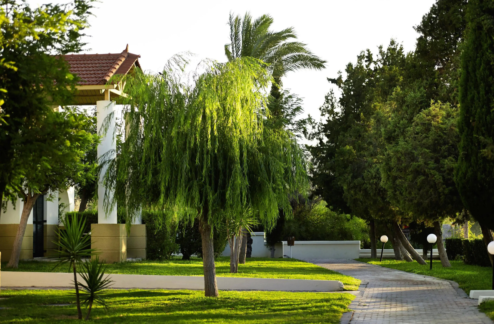 Foto - Mitsis Rodos Maris