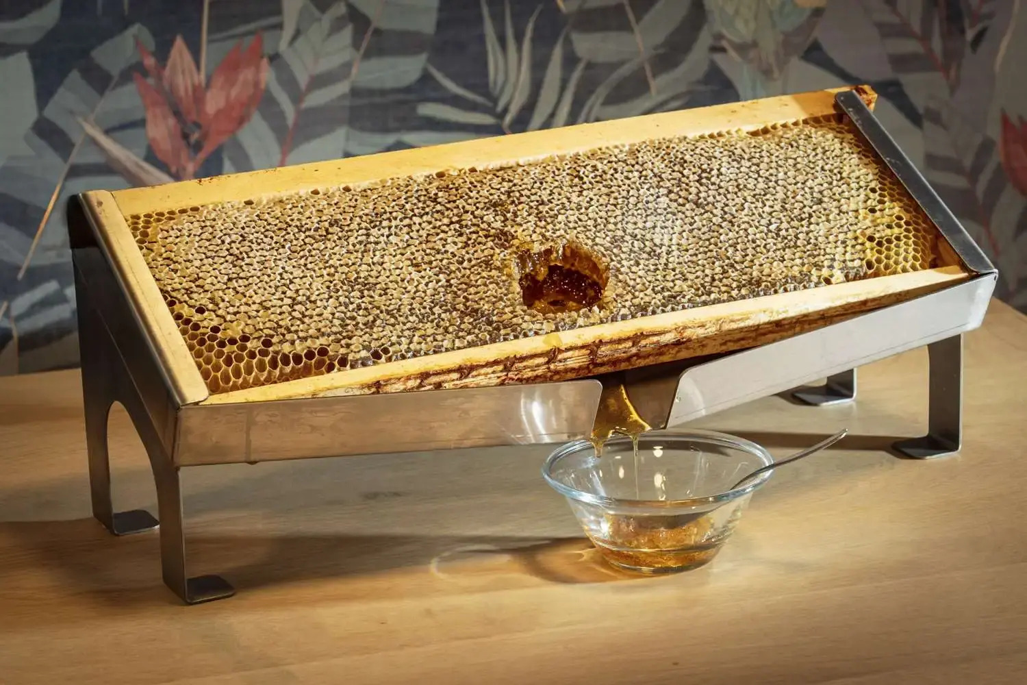 Foto - Best Western Plus Hotel De La Regate-Erdre