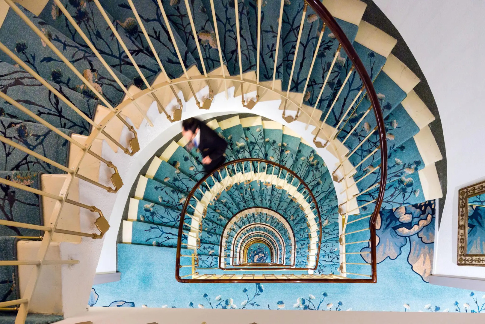 Photo - Hotel Bristol