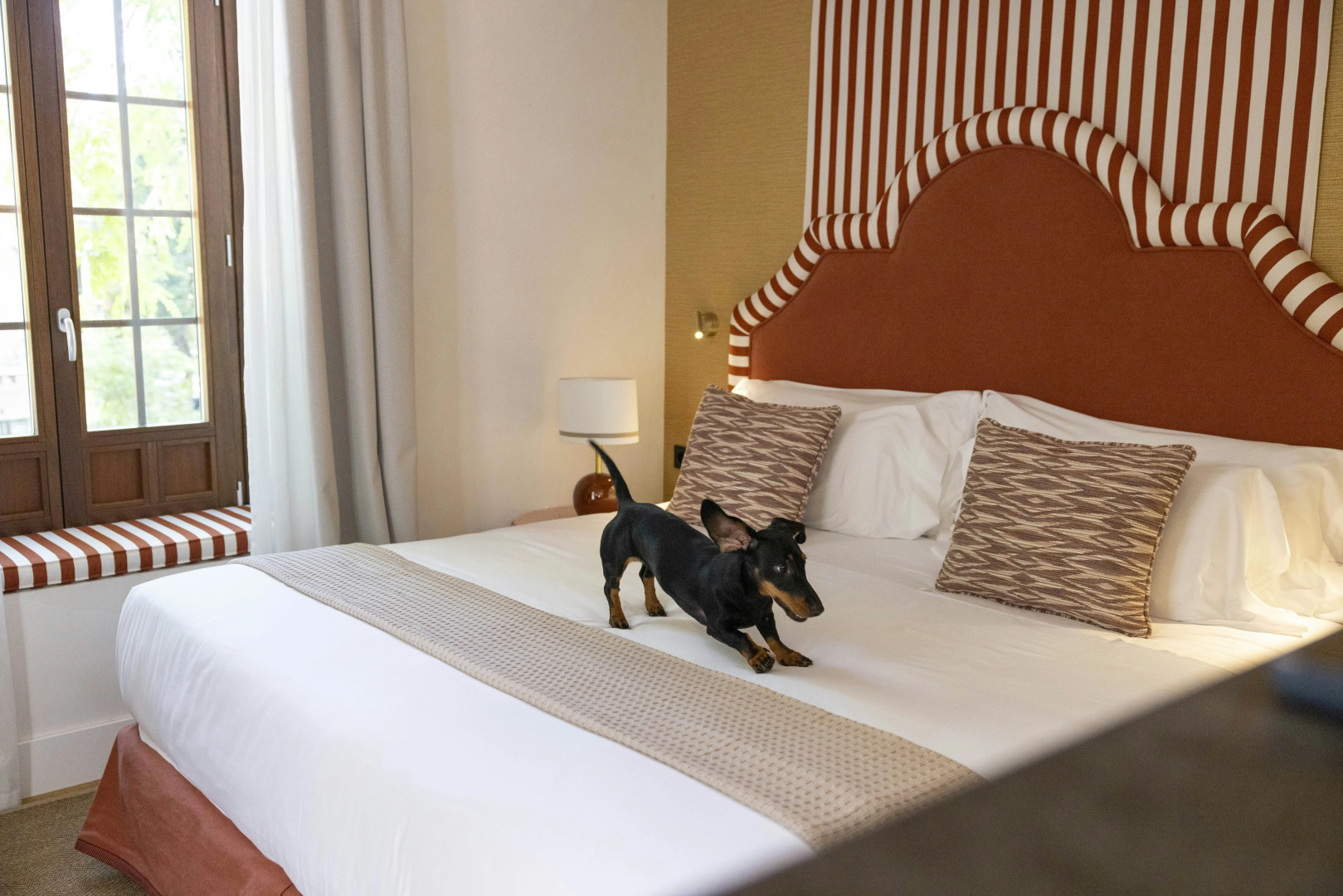 Foto - Cavalta Boutique Hotel – Small Luxury Hotel