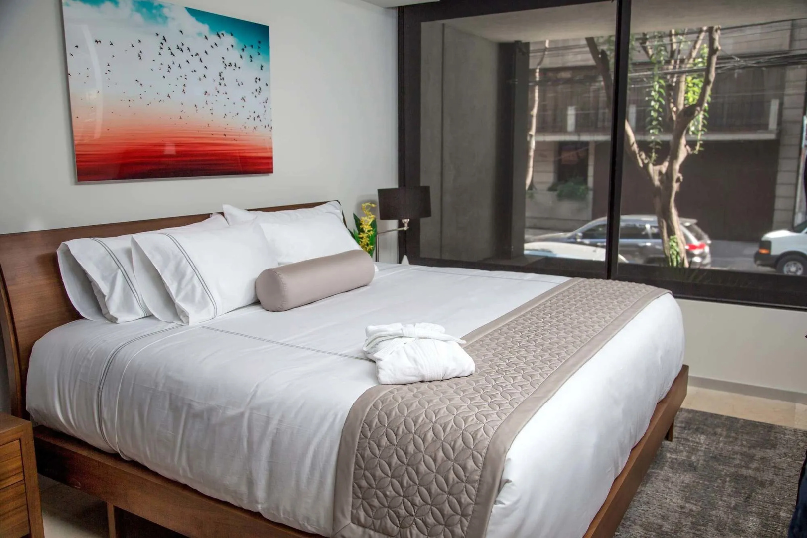 Photo - MX Grand Suites