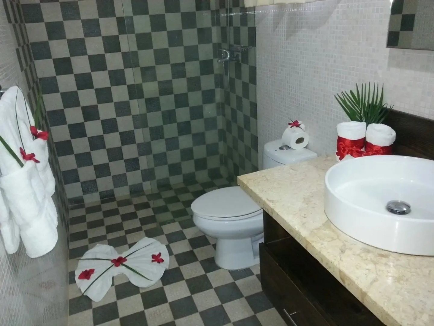 Photo - Hotel Silvestre